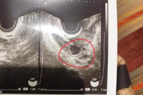 缘何中邦？运载千秋丨扬州三湾古运河畔，博物馆研究大运河前生摩登